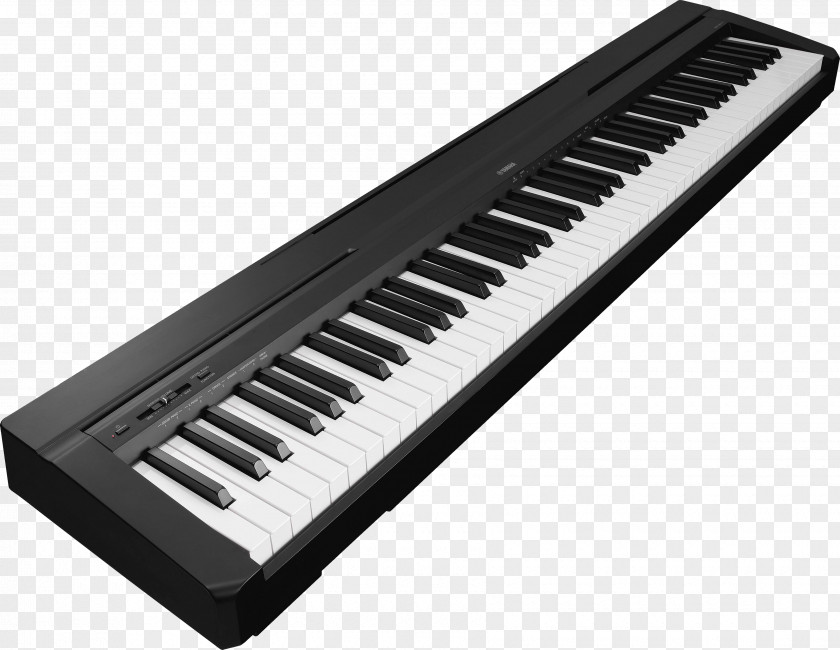 Piano Yamaha P-115 Digital Keyboard Action PNG