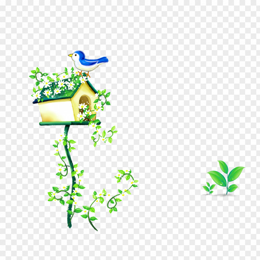 Planta De Casa Desktop Wallpaper Child Image Photograph PNG