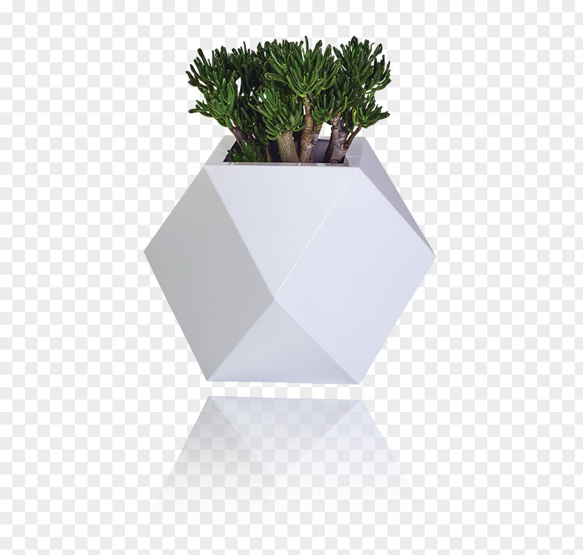 Triangle Diamond Flowerpot Designer Project Industrial Design PNG