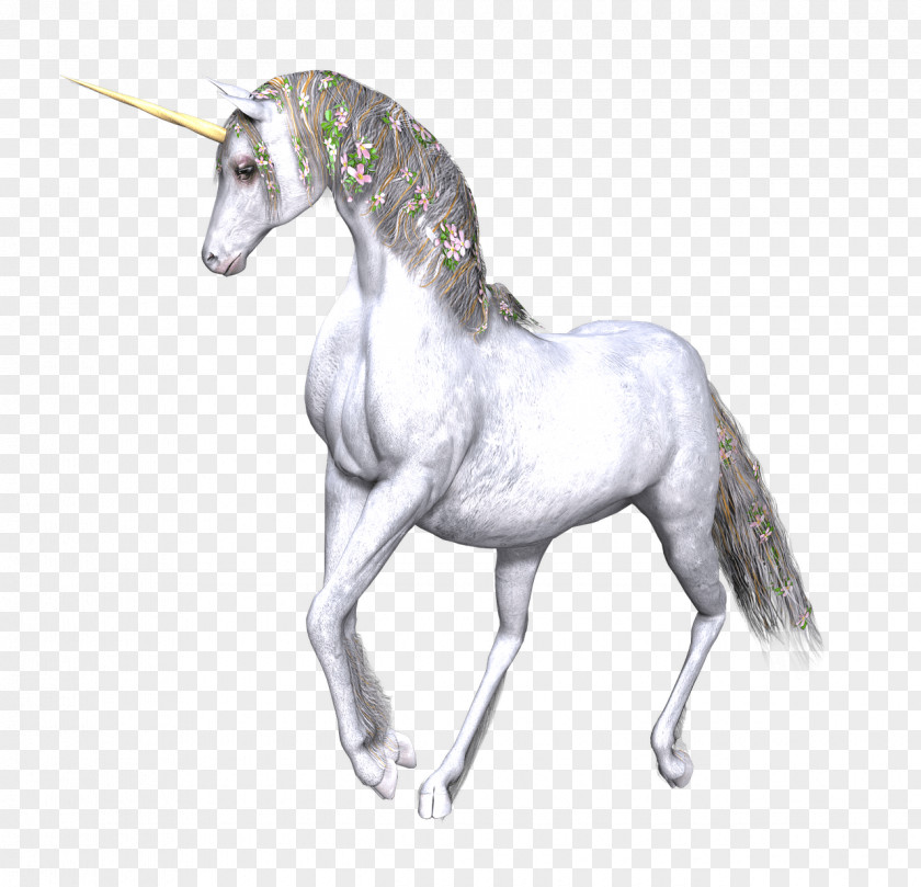Die Nachfolger Legendary Creature DrawingUnicornio Unicorn Horse Deko Betz PNG