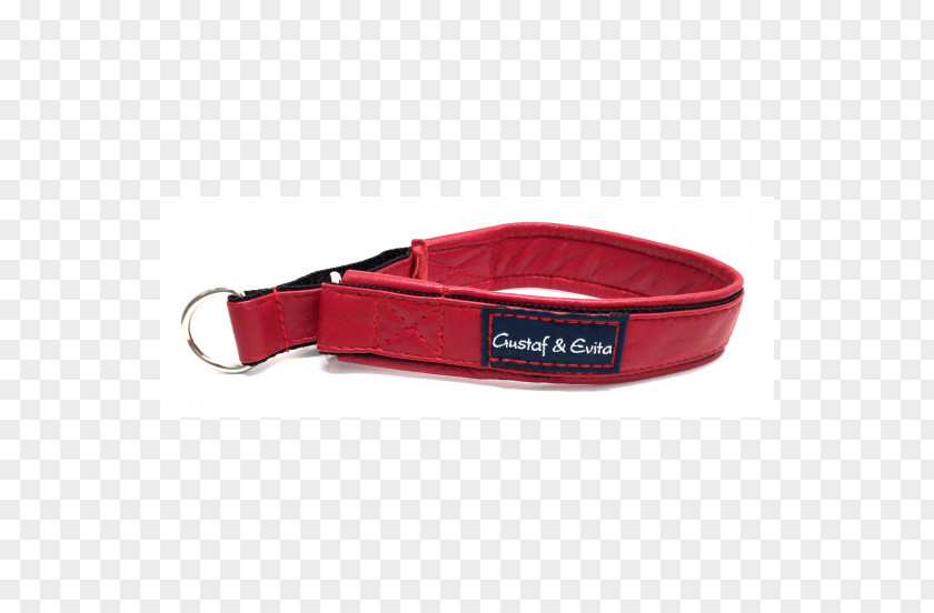 Dog Leash Collar Red PNG