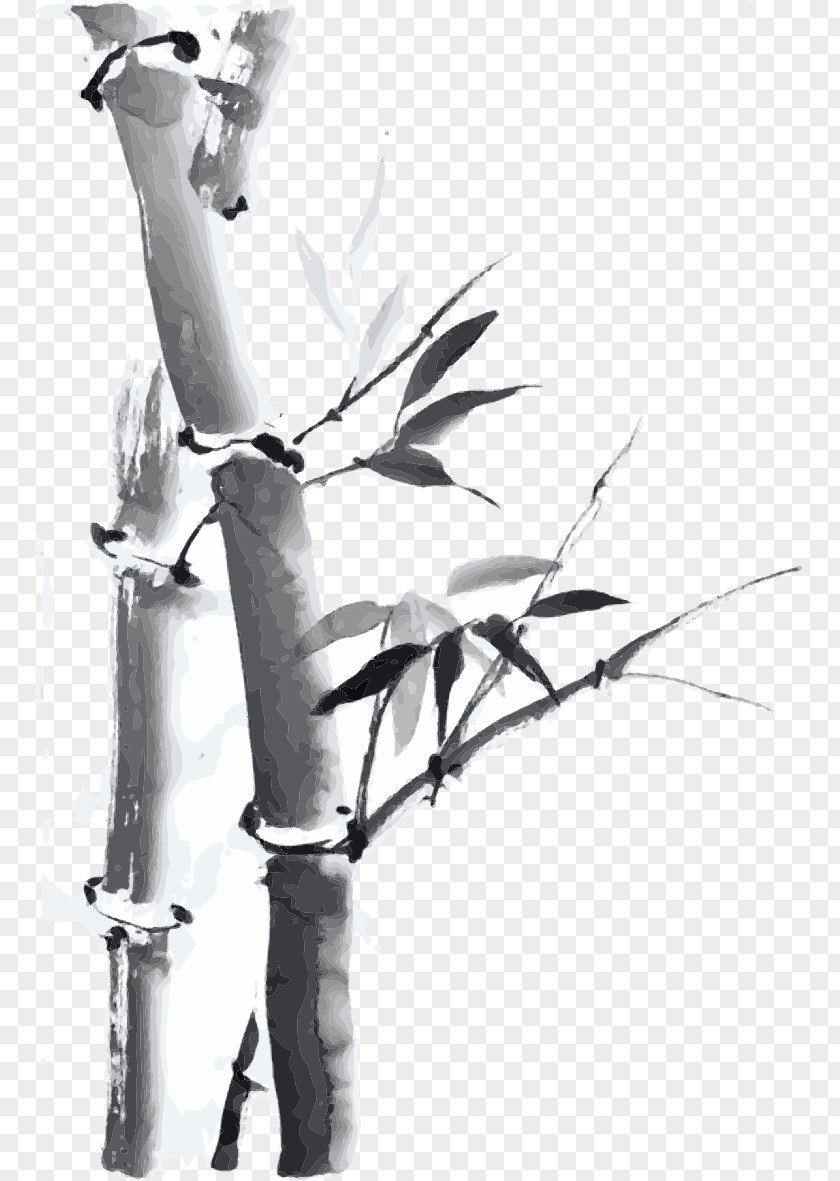 Ink Bamboo Drawing Wash Painting PNG