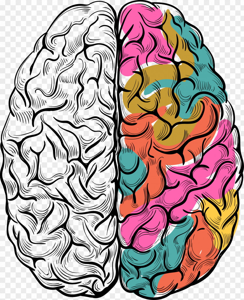 Vector Hand-painted Brain The Big Book Of Rebuses: Training For Kids And Adults Learning Business Creativity PNG
