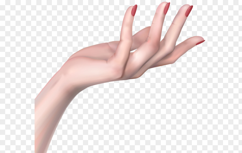 Woman Hand Clip Art PNG