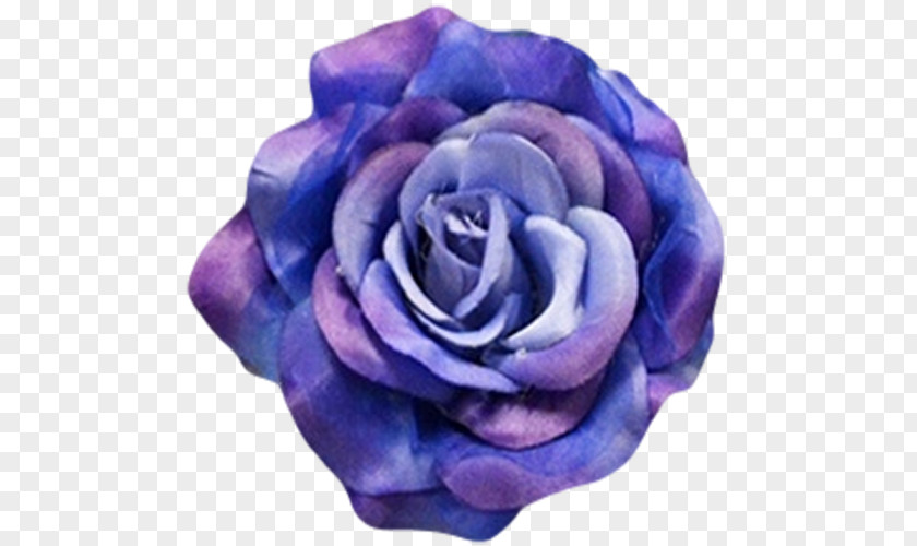Burgundy Flowers Blue Rose Cobalt Flower PNG