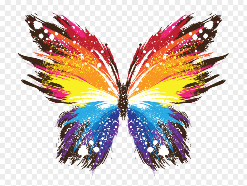 Butterfly Rainbow Color Clip Art PNG