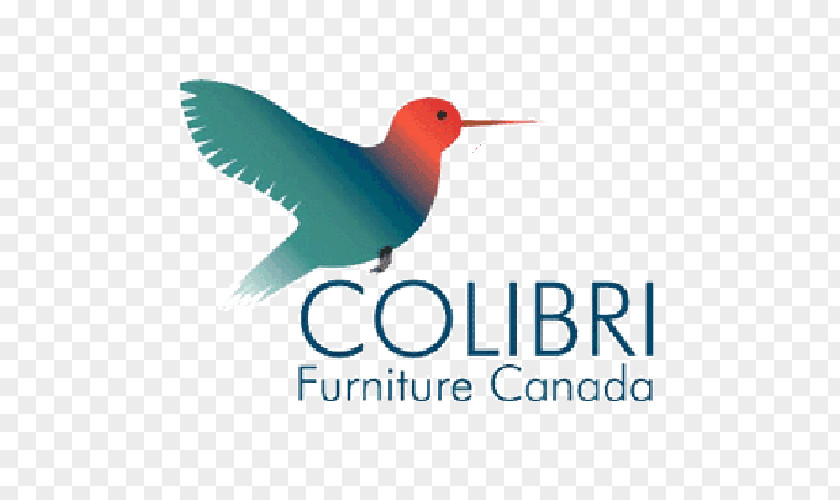 Canada Logo Colibri Group California State Route 1 Advertising Brand PNG