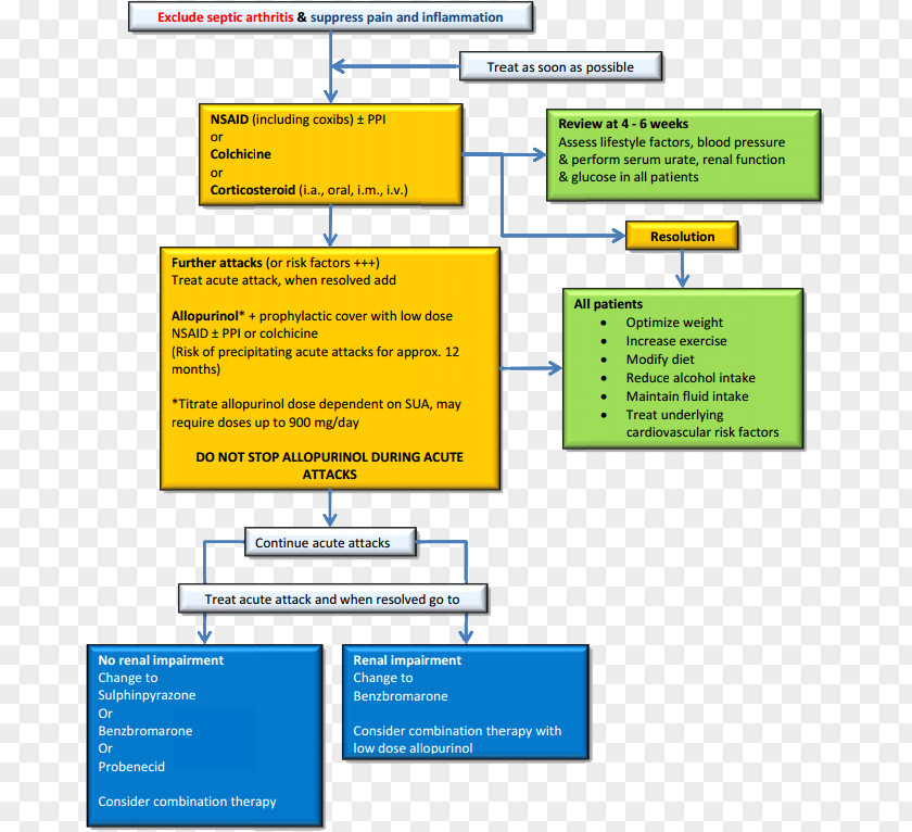 Diet Tyerapy Gout Uric Acid Medical Guideline Hyperuricemia Febuxostat PNG