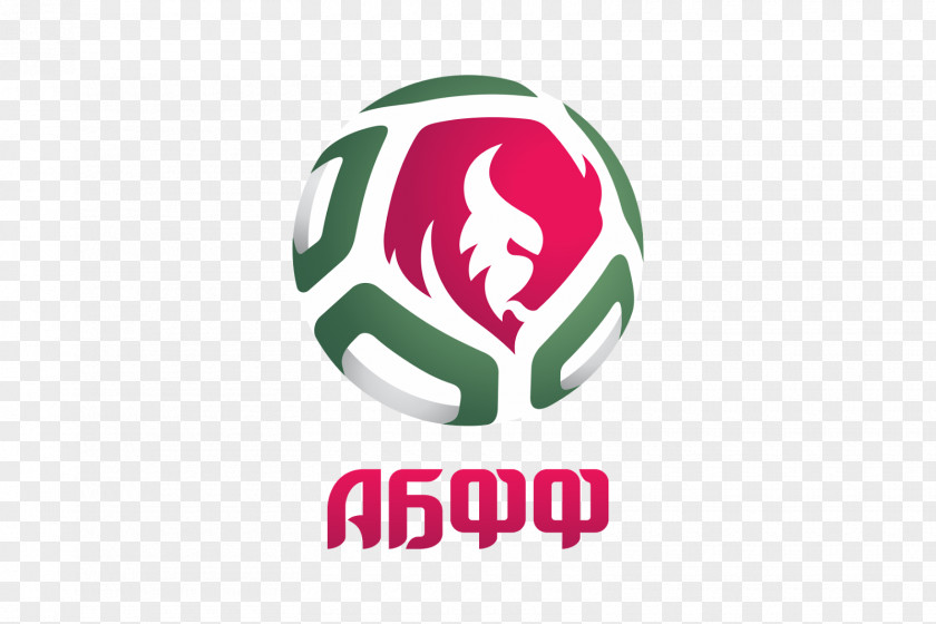 Football Belarus National Team FC Dnepr Mogilev Dynamo Brest Federation Of PNG