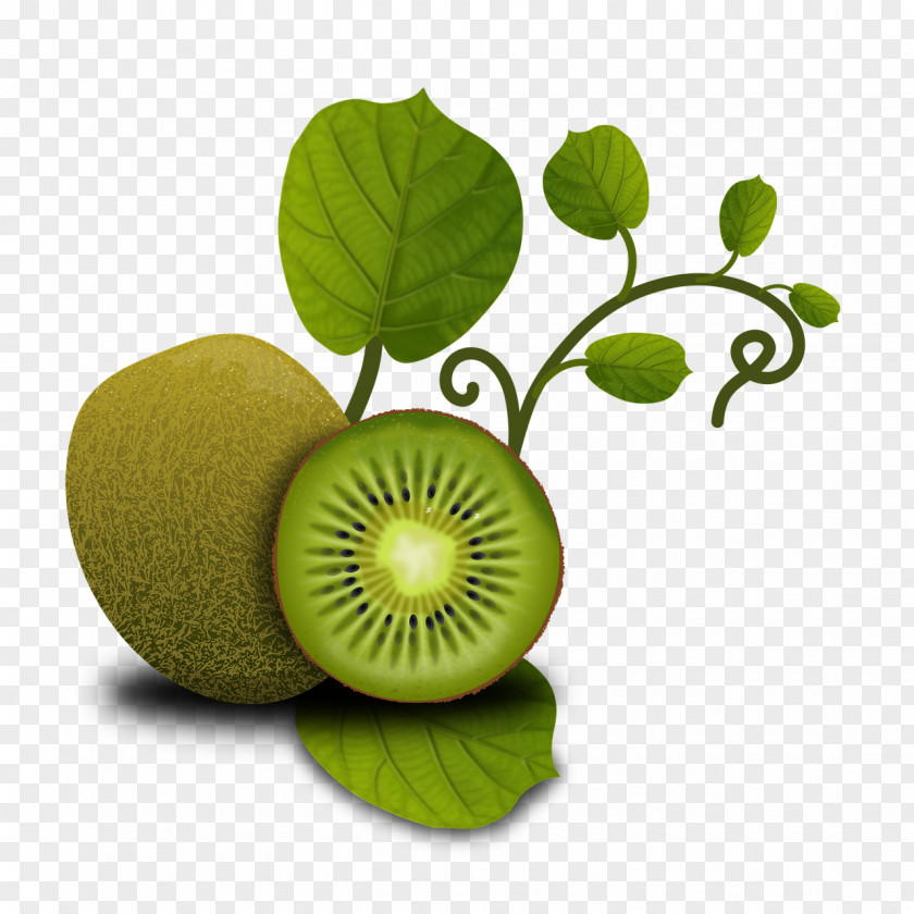 Kiwi Kiwifruit Food Health Orange PNG