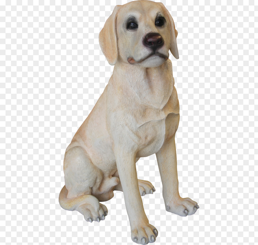 Labrador Retriever Dog Breed Puppy Companion PNG