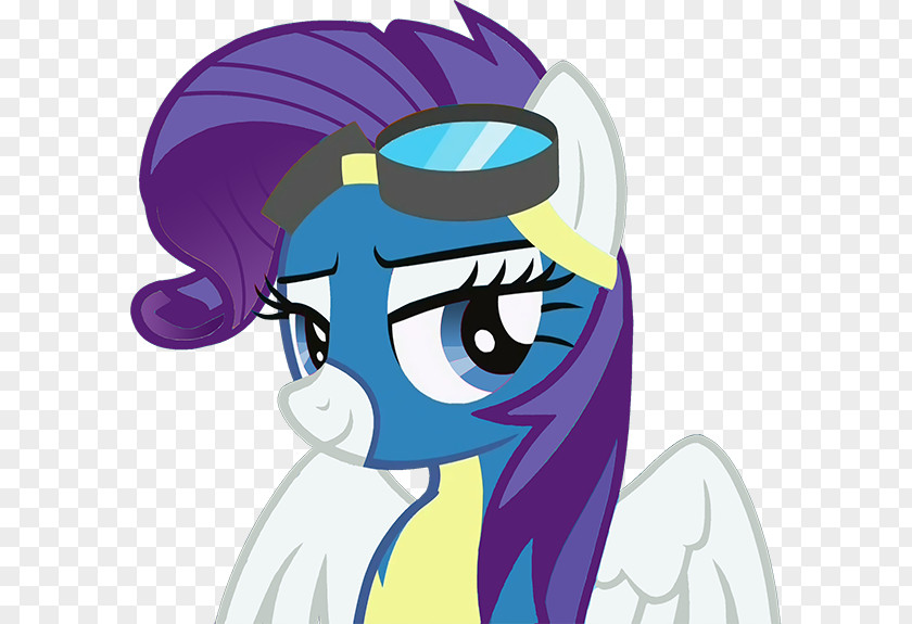 Pegasus Pony Rainbow Dash Pinkie Pie Rarity Twilight Sparkle PNG