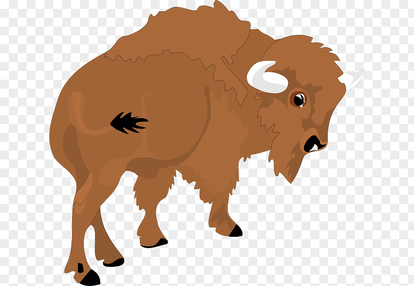 Animal Public Domain Bison Bonasus American Water Buffalo Clip Art PNG
