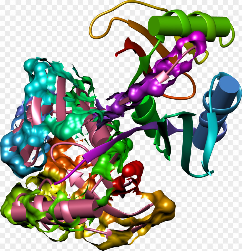 Bleomycin Erlotinib Enzyme Inhibitor Side Effect Denosumab PNG