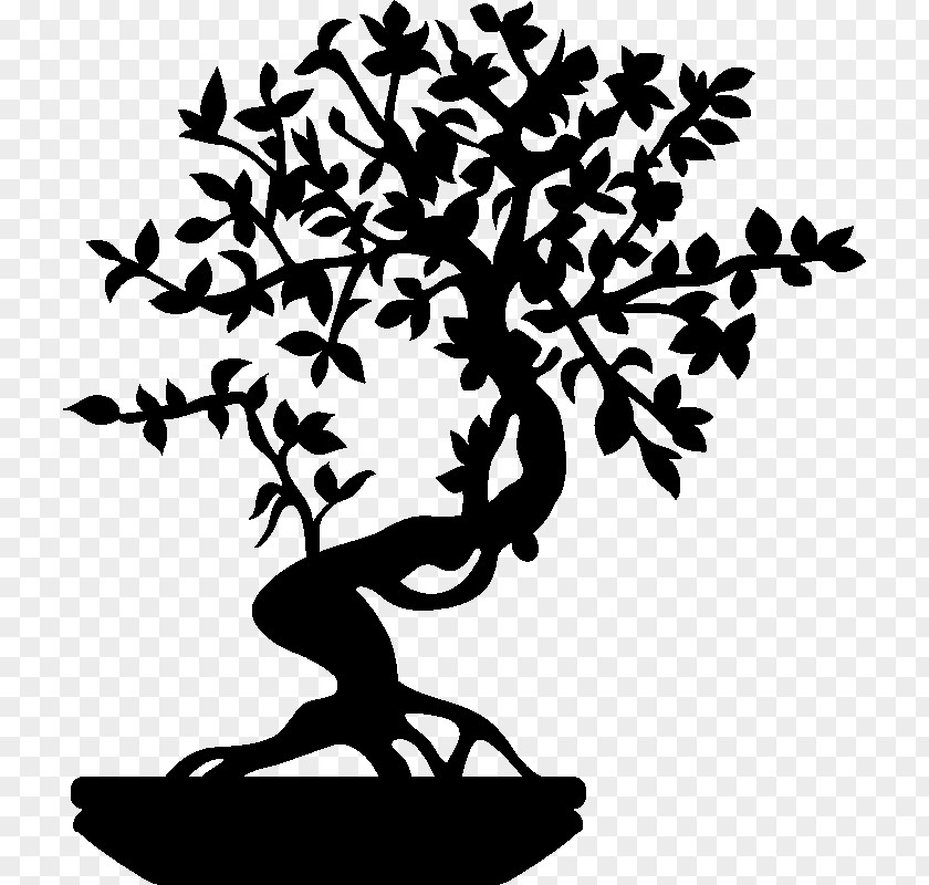 Bonsay Bonsai Adhesive Partition Wall Tree Room PNG