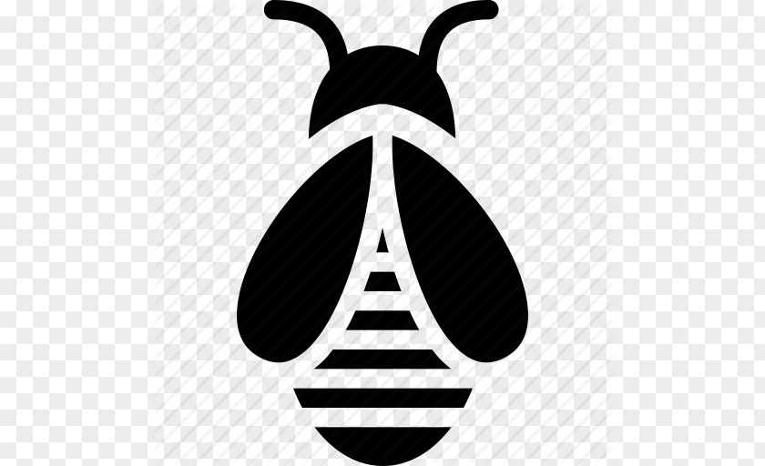 Icon Bee Honey Insect Beehive PNG