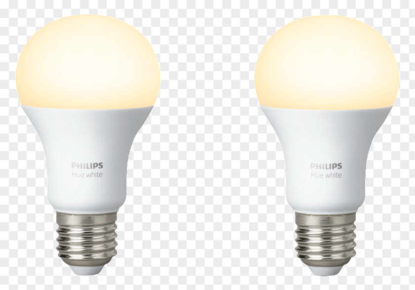 Lamp Fluorescent Light Bulb Cartoon PNG