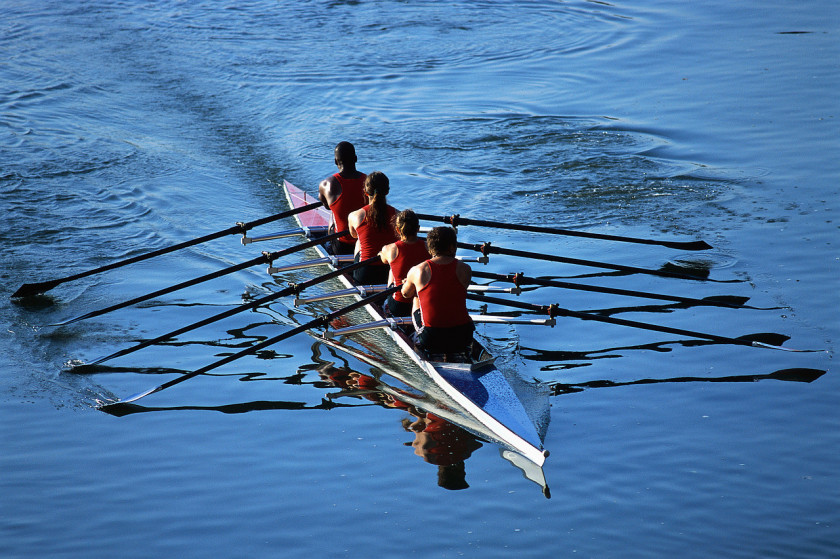 Rowing Virtual Team Business Organization Marketing PNG