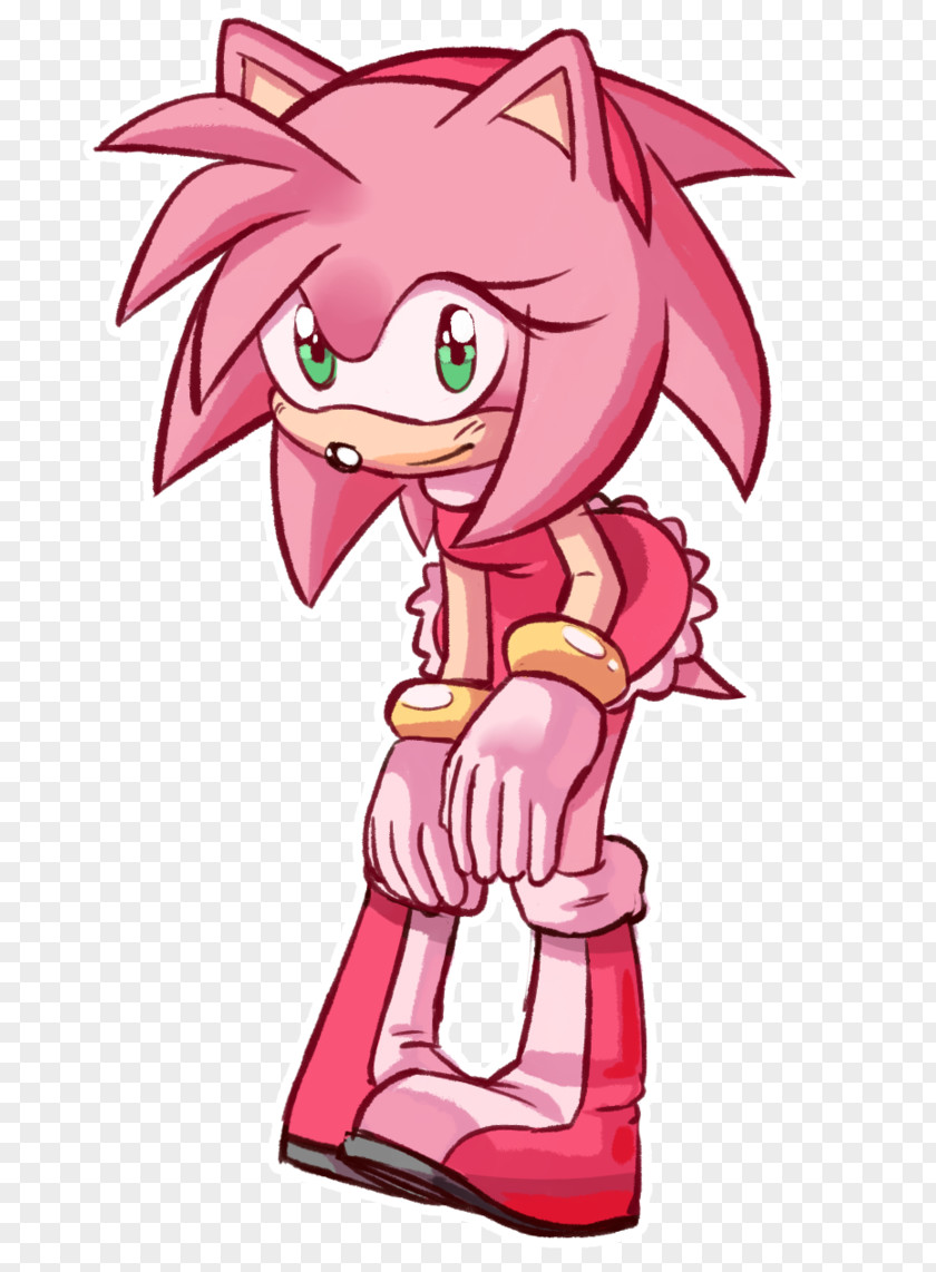 Sonic The Hedgehog Amy Rose Metal Princess Sally Acorn PNG