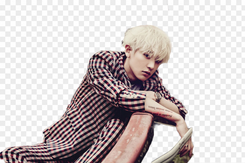 Chanyeol Exodus LOVE ME RIGHT K-pop PNG