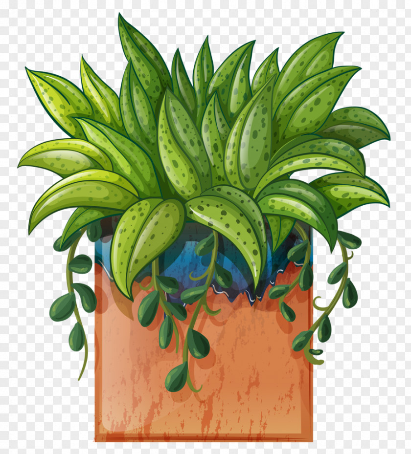 Plants Environment Plantes Vertes Clip Art Vector Graphics Stock Illustration PNG