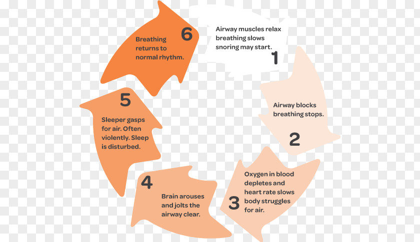 Sleep Disorder Obstructive Apnea Breathing PNG