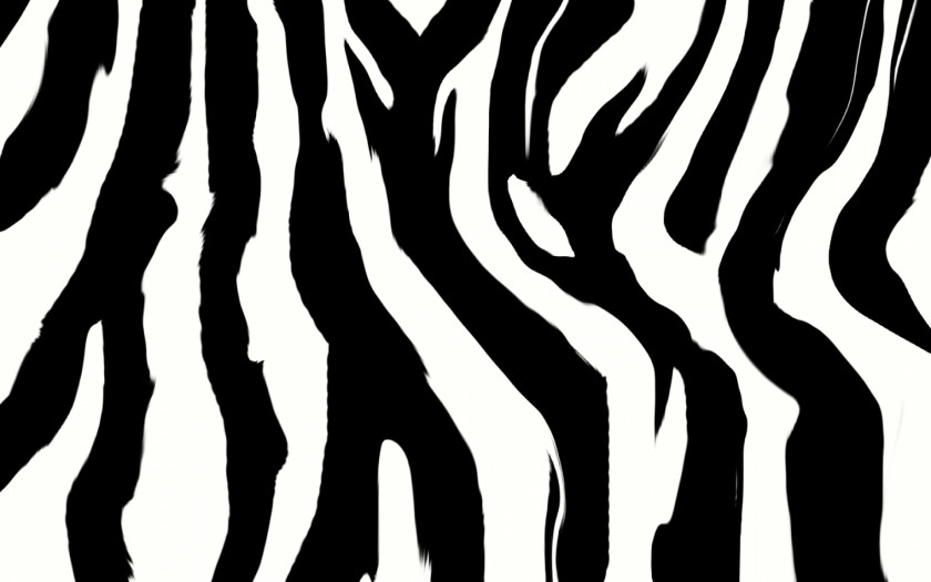Zebra Print Animal Desktop Wallpaper Clip Art PNG