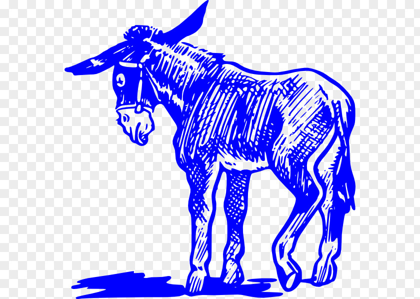 Donkey Black And White Clip Art PNG