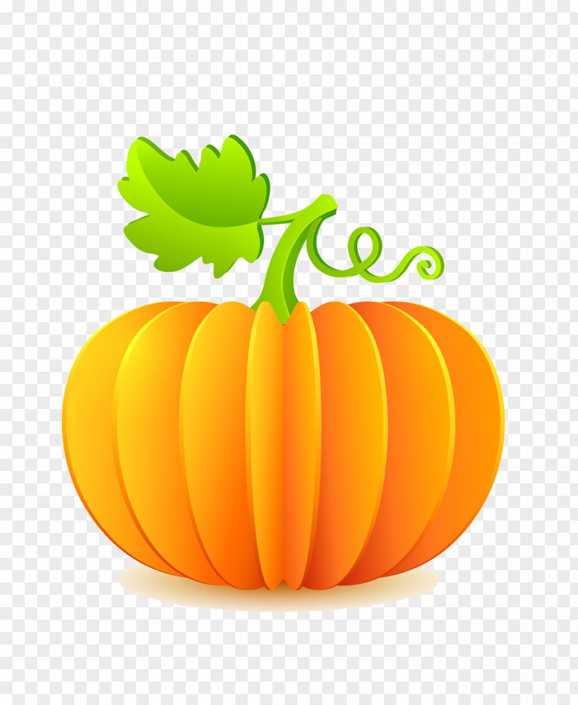 Pumpkin Halloween Poster Cartoon PNG