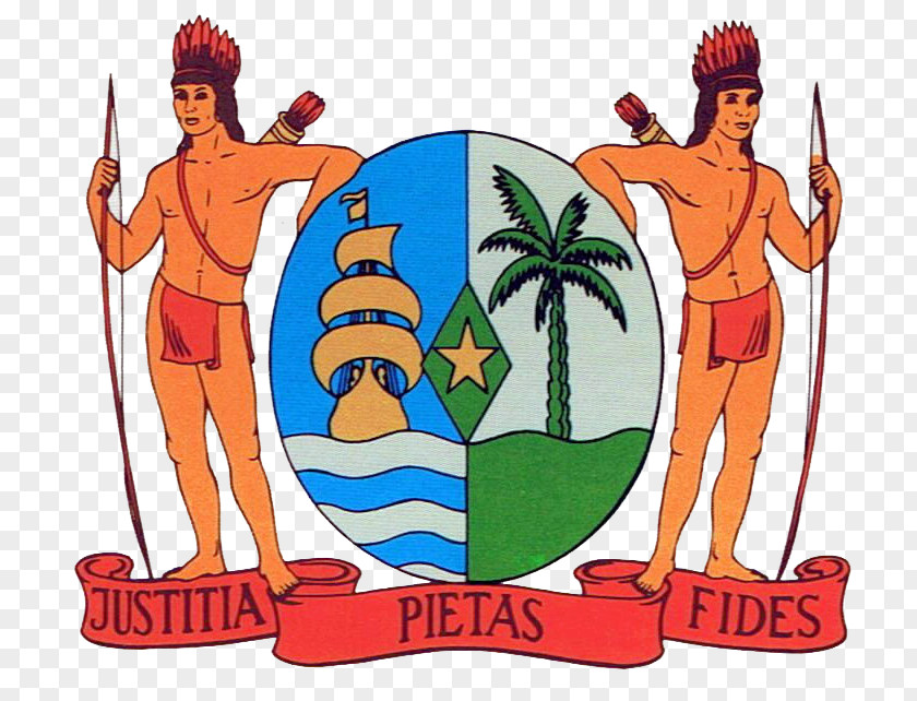 Tshirt Coat Of Arms Suriname T-shirt Flag PNG