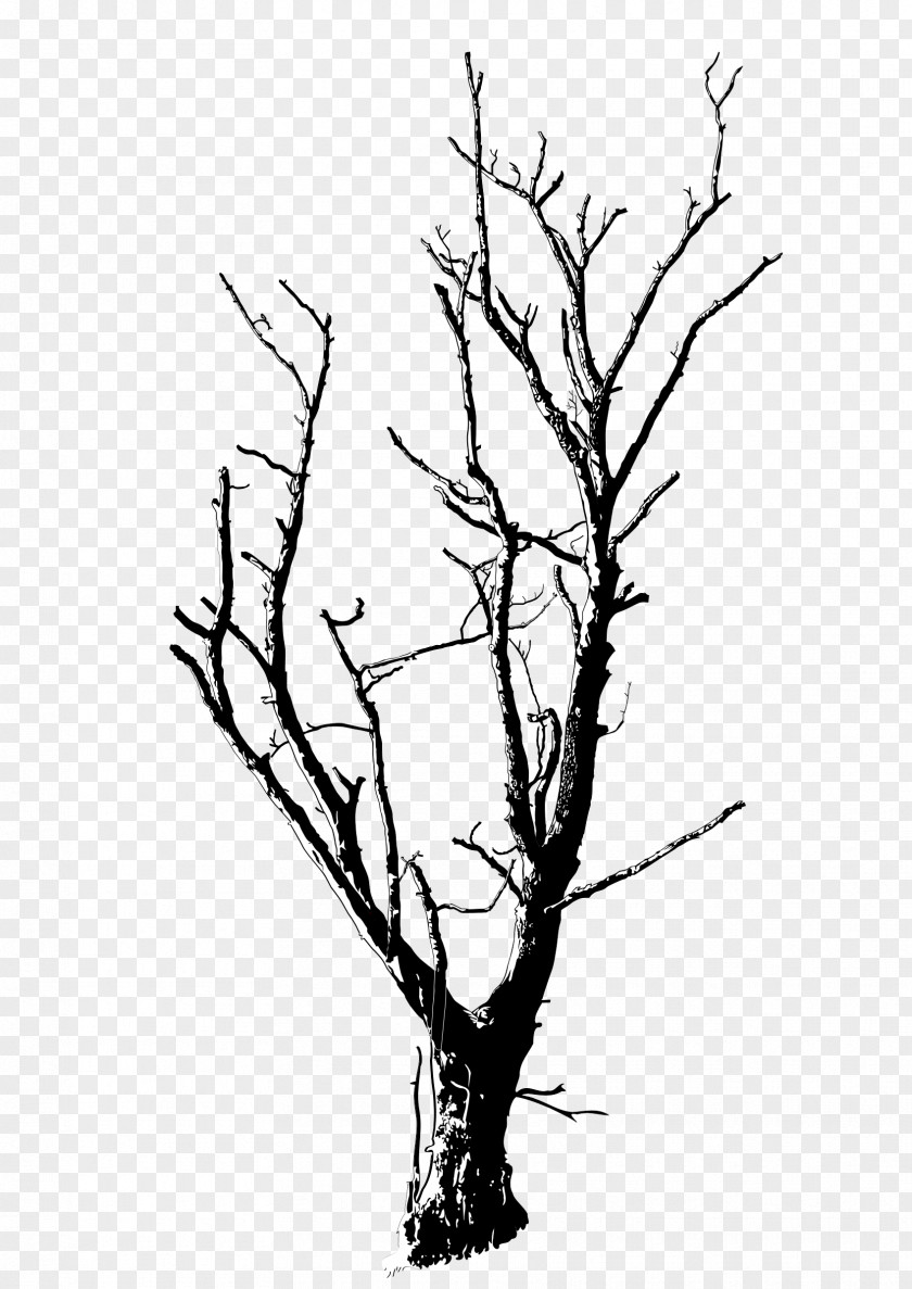 Ace Drawing Branch Silhouette Tree Clip Art PNG