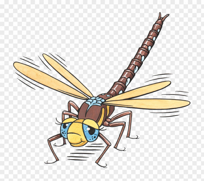 Dragonfly I'm A Insect Hornet Clip Art PNG
