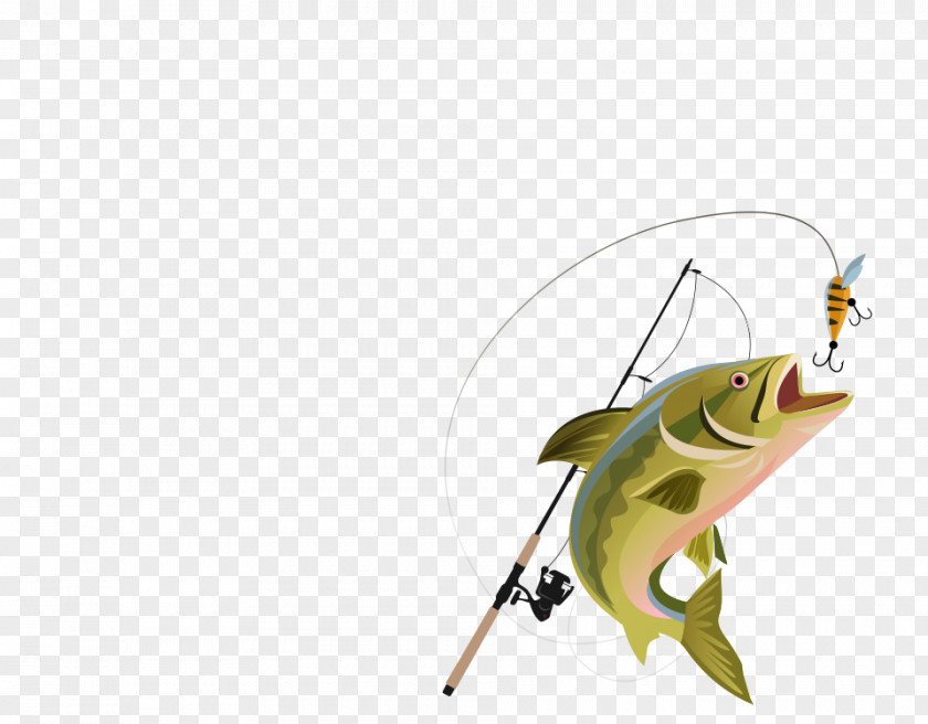 Fishing Fish Hook Angling Clip Art PNG