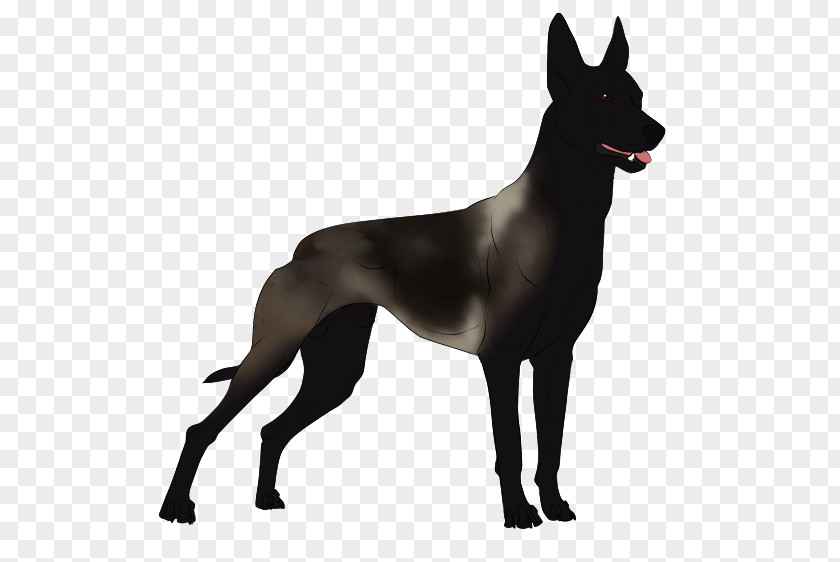 Malinois Great Dane Dog Breed Non-sporting Group Guard (dog) PNG