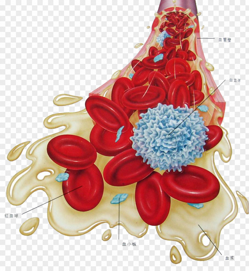 Medical Blood Cell Graphics Hematology Hematologic Disease Medicine Research PNG
