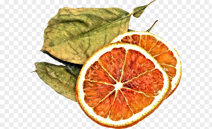 Painted Dry Lemon Slices Photography Orange Food Drying Royalty-free Fruit PNG