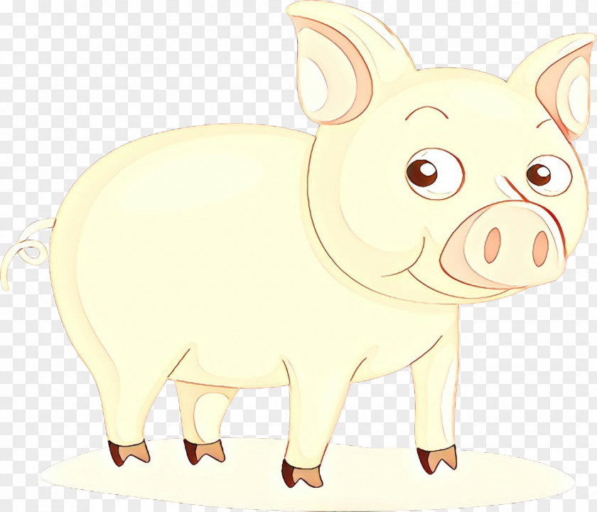 Suidae Animal Figure Pig Cartoon PNG