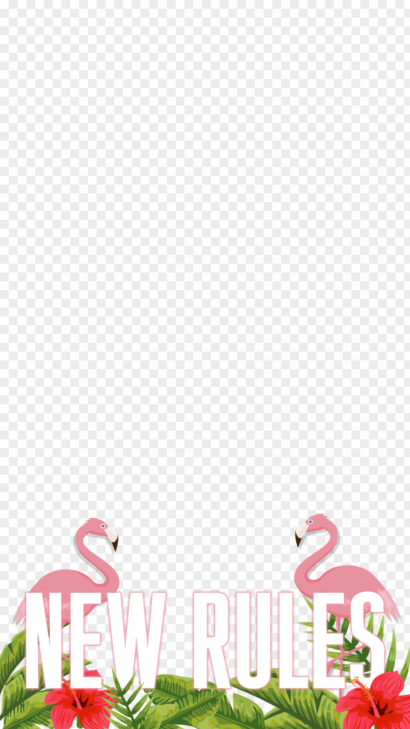 Dua Lipa Petal Pink M Leaf Font PNG