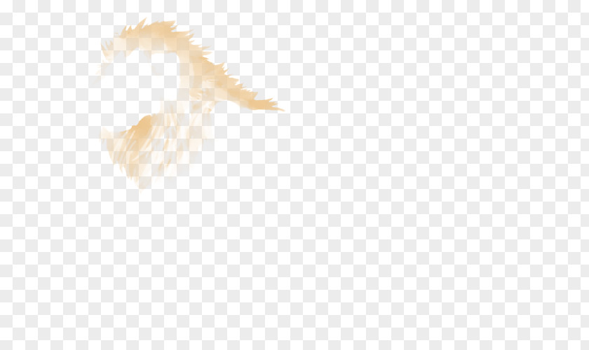 Feather Tail Fur Snout PNG