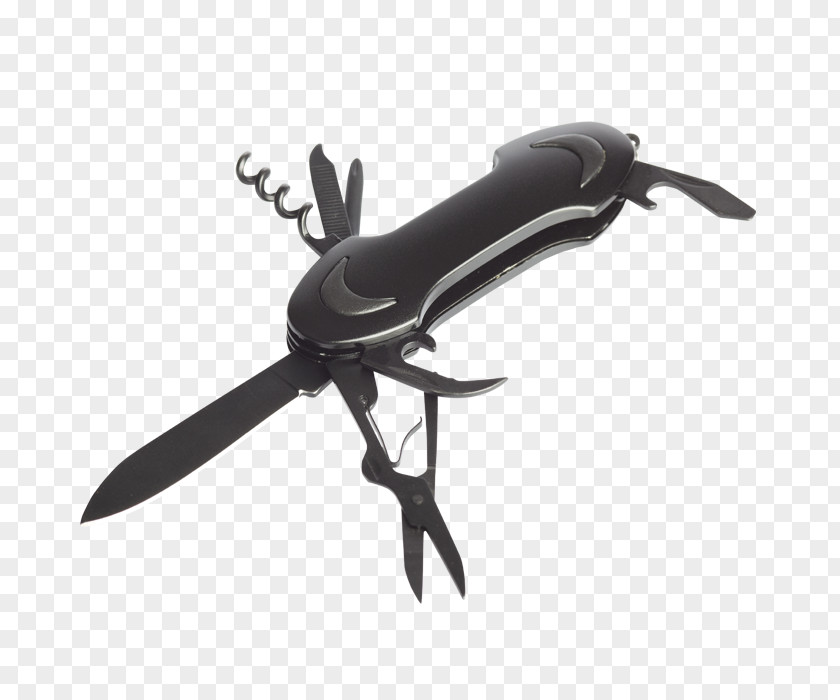 Knife Insect PNG