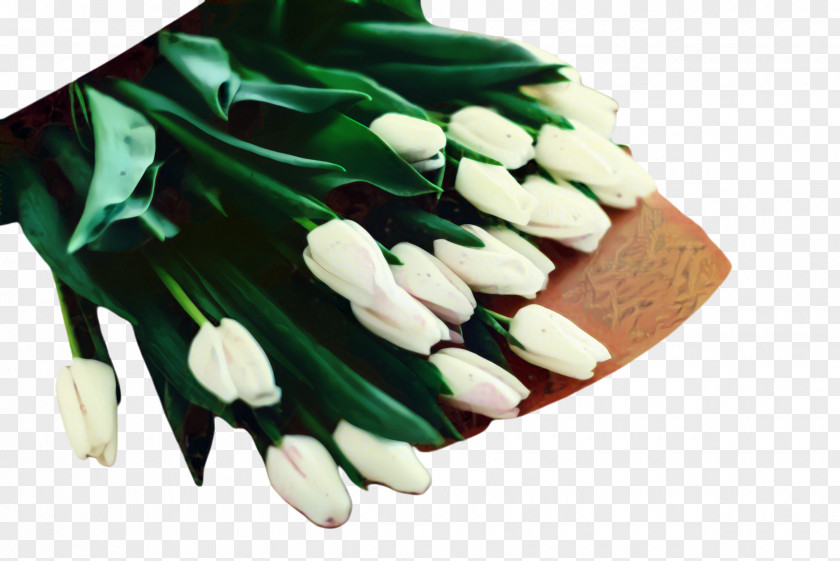 Lily Family Glove White Flower PNG