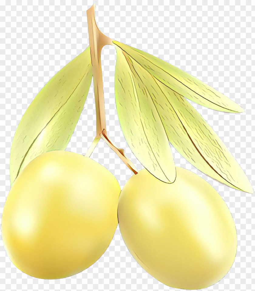 Olive Flower Fruit Yellow Plant Food Tree PNG
