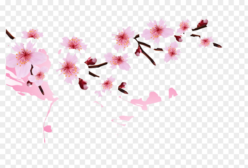 Peach Blossom National Cherry Festival Clip Art PNG