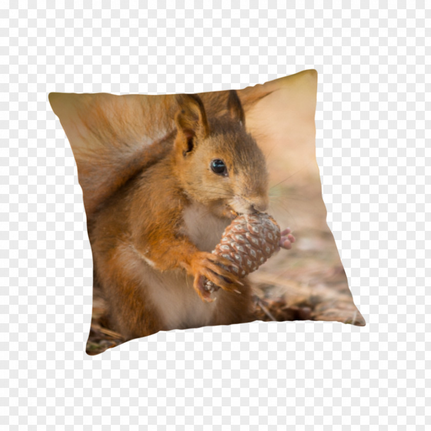 Pillow Chipmunk Throw Pillows Cushion Whiskers PNG
