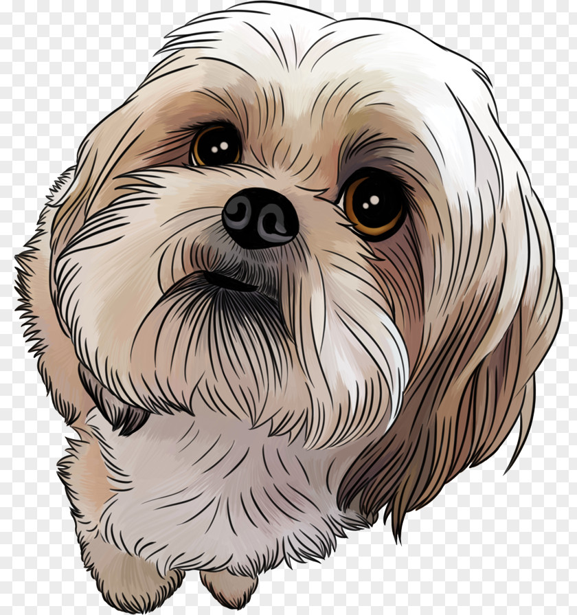 Puppy Shih Tzu Maltese Dog Poodle Pekingese PNG