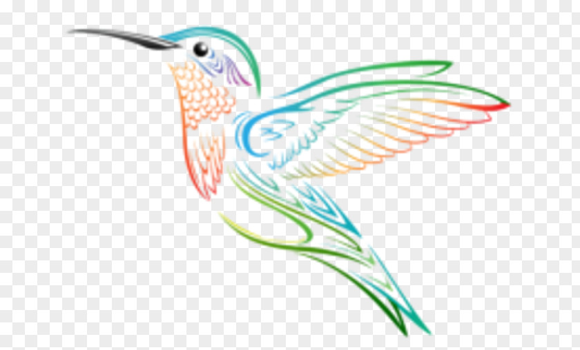 Animation Hummingbird Clip Art PNG