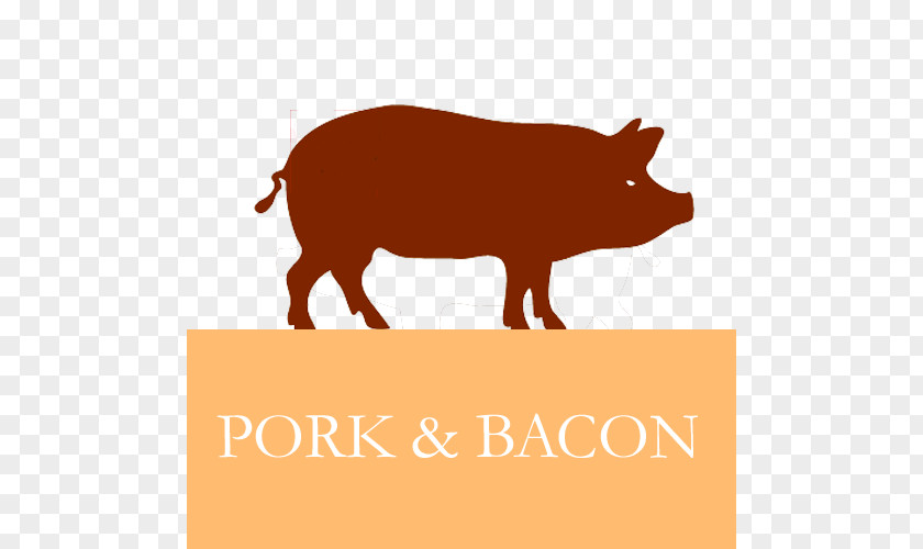 Bacon Pig Roast Barbecue T-shirt Ossabaw Island Hog PNG