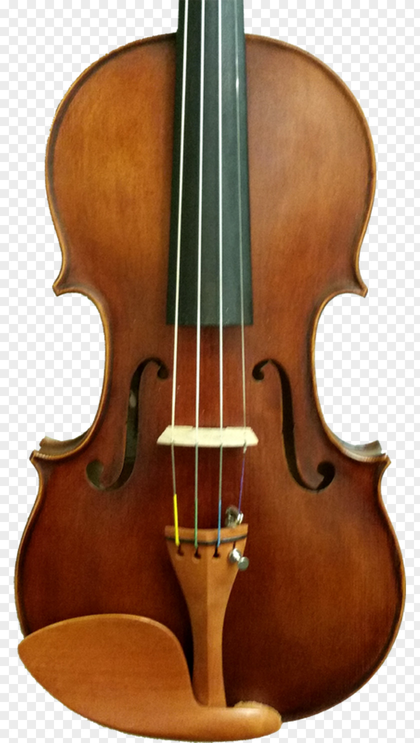 Cartoon Violin Bass Double Violone Viola PNG