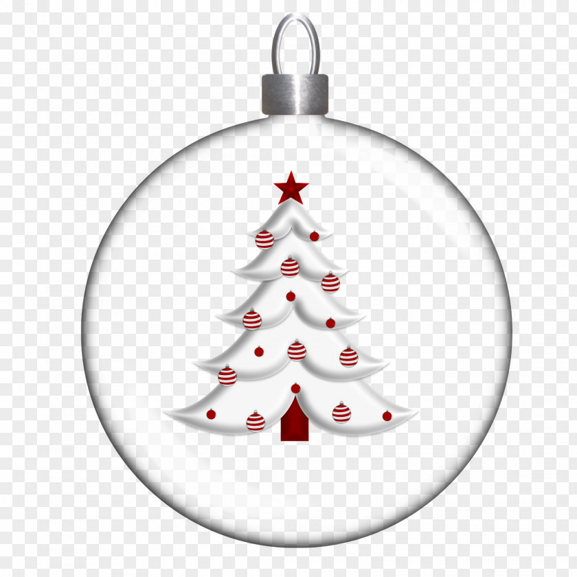 Christmas Tree Fir Card PNG