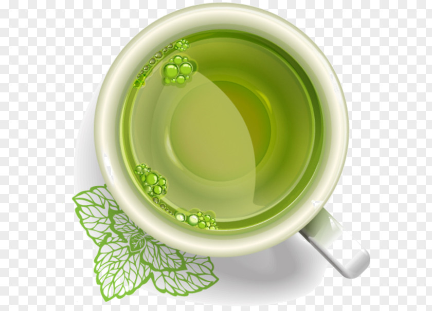Drawing Green Tea Leaf PNG